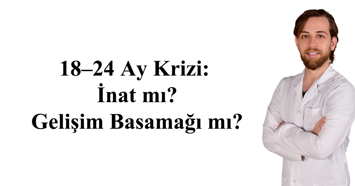 18–24 Ay Krizi: İnat mı, Gelişim Basamağı mı?